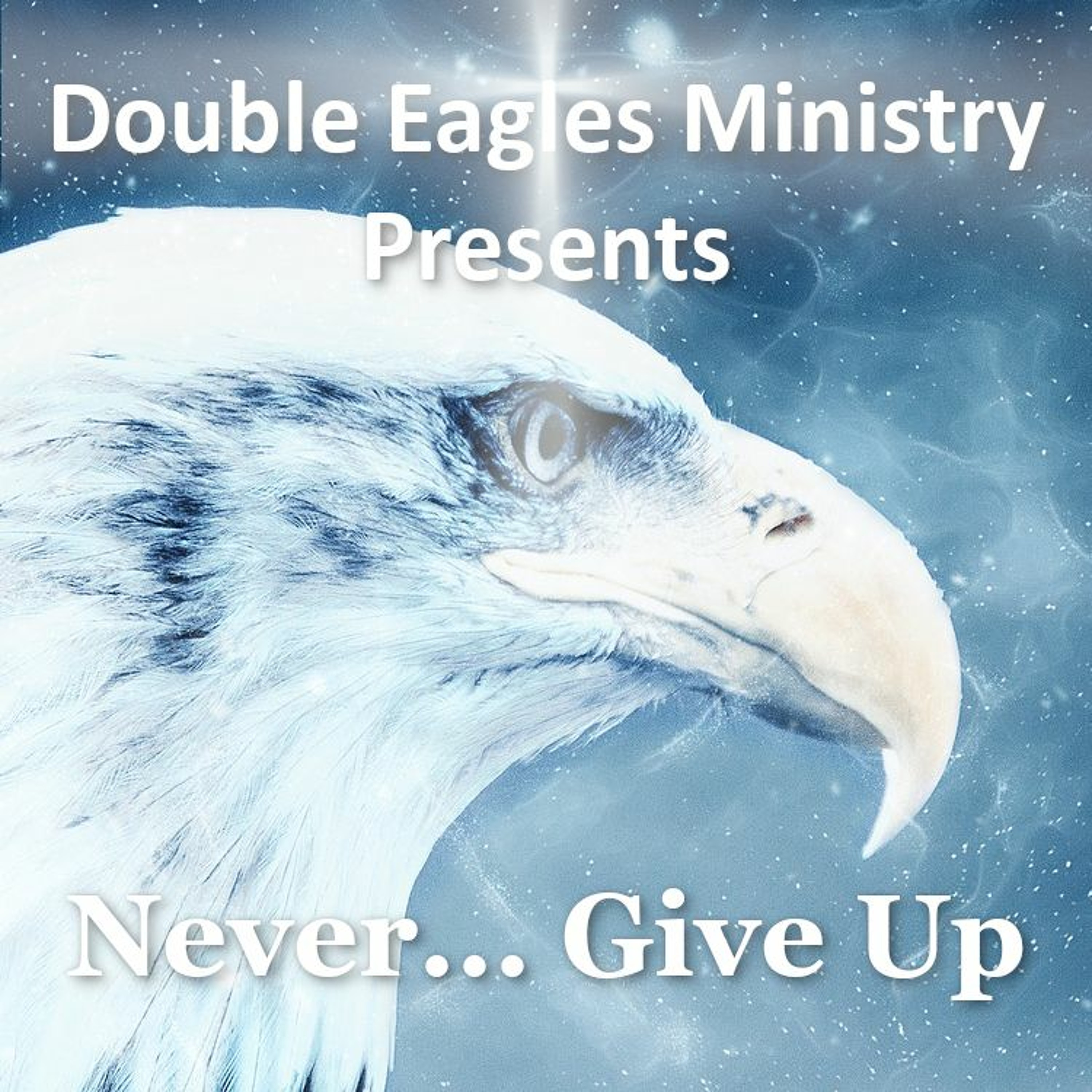 Never Give Up episode artwork