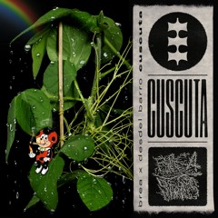 Brea & Desdel Barro - Cuscuta