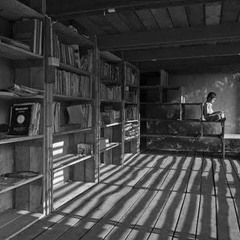 Sobre AcústicaS & ZOOtanologíaS (Iteración 3670)