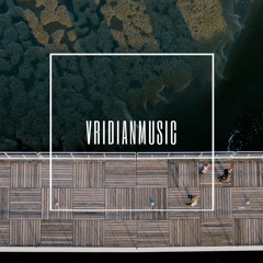 DHT Podcast 54 - VridianMusic