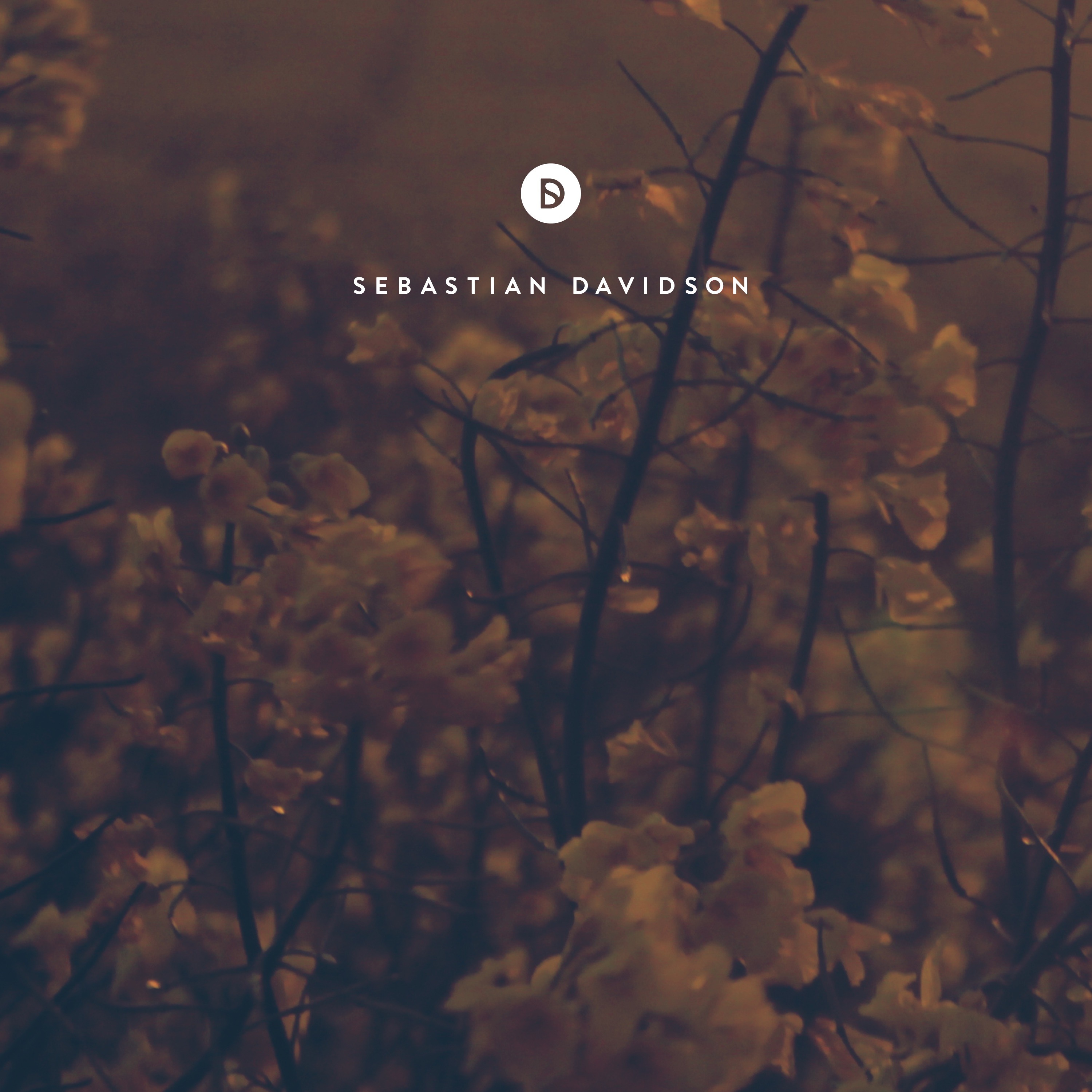 Voyage of Discovery by Sebastian Davidson
