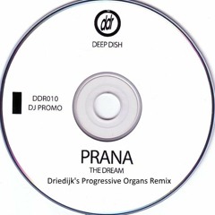 Deep Dish Ft Prana - The Dream (Progressive Organs Remix)