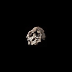 Stoneghost