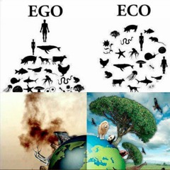 Ego Vs Eco