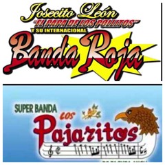 JOSECITO LEON Y SU INTERNACIONAL BANDA ROJA VS LOS PAJARITOS DE TACUPA MICHOACAN