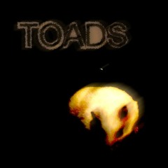 toads