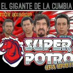 En tu pelo