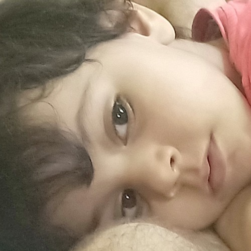 هامتي دامتي