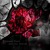 Artwork for Recurrence