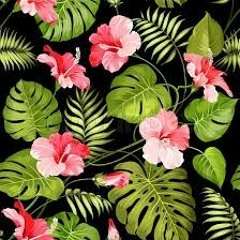 (FREE) CARTI B X TROPICANA TYPE BEAT | FLORES | ELI TAYLOR