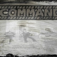 InCommand - The Ride