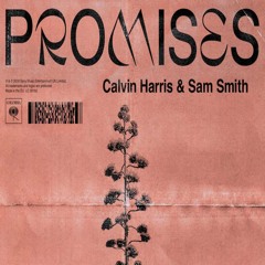 PROMISES - Calvin Harris & Sam Smith | Cover