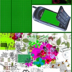 music for people who like nature (2006)