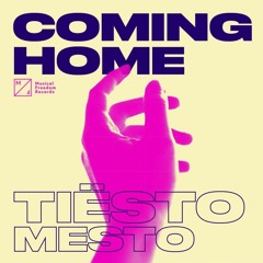 Tiësto & Mesto - Coming Home Vs. Chemicals Vs. Symphony (Simonian Mashup)