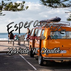 ZekSide X Exautik -  Esperandote Chill Sample 2018