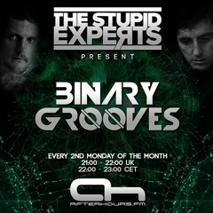 The Stupid Experts - Binary Grooves  006