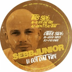 PREMIERE: Sebb Junior - My Babe [La Vie D'Artiste Music]