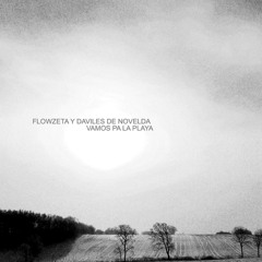 Daviles De Novelda & Flowzeta - Vamos Pa La Playa (Franxu Remix)