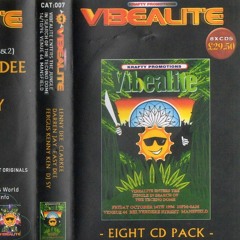 Lenny Dee--Vibealite Enters The Jungle In Search Of The Technodrome--1994