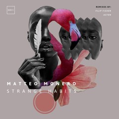 Matteo Monero - Strange Habits (Filip Fisher Remix)