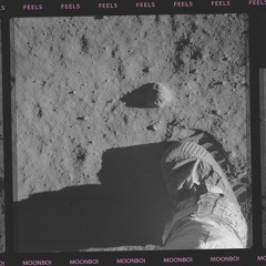 FEELS PROD. TREETIME (VIDEO IN DESCRIPTION)