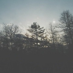 ♡ lil lungg ♡ - shattered heart (prod. BlackMayo)