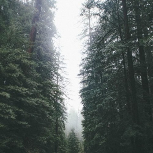 maybe this is all we're meant to be [full tape]