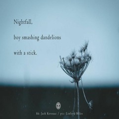 Nightfall (Naviarhaiku 241)