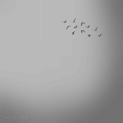 lets fly