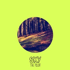 Not Many (Prod. Sky The Pilot)