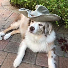 propane lights (phosphorescent)