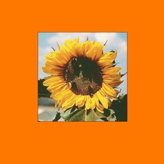 No Worries (Prod. by ILLUID HALLER)