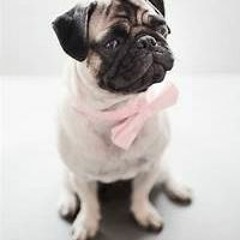 X-Qu-Z-Me - Electric Sky Set