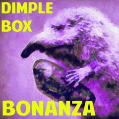 Dimple Box Bonanza