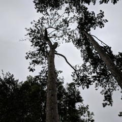 Conscious darkness.m4a