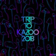 Trip To Kazoo 2018 (Original Mix)