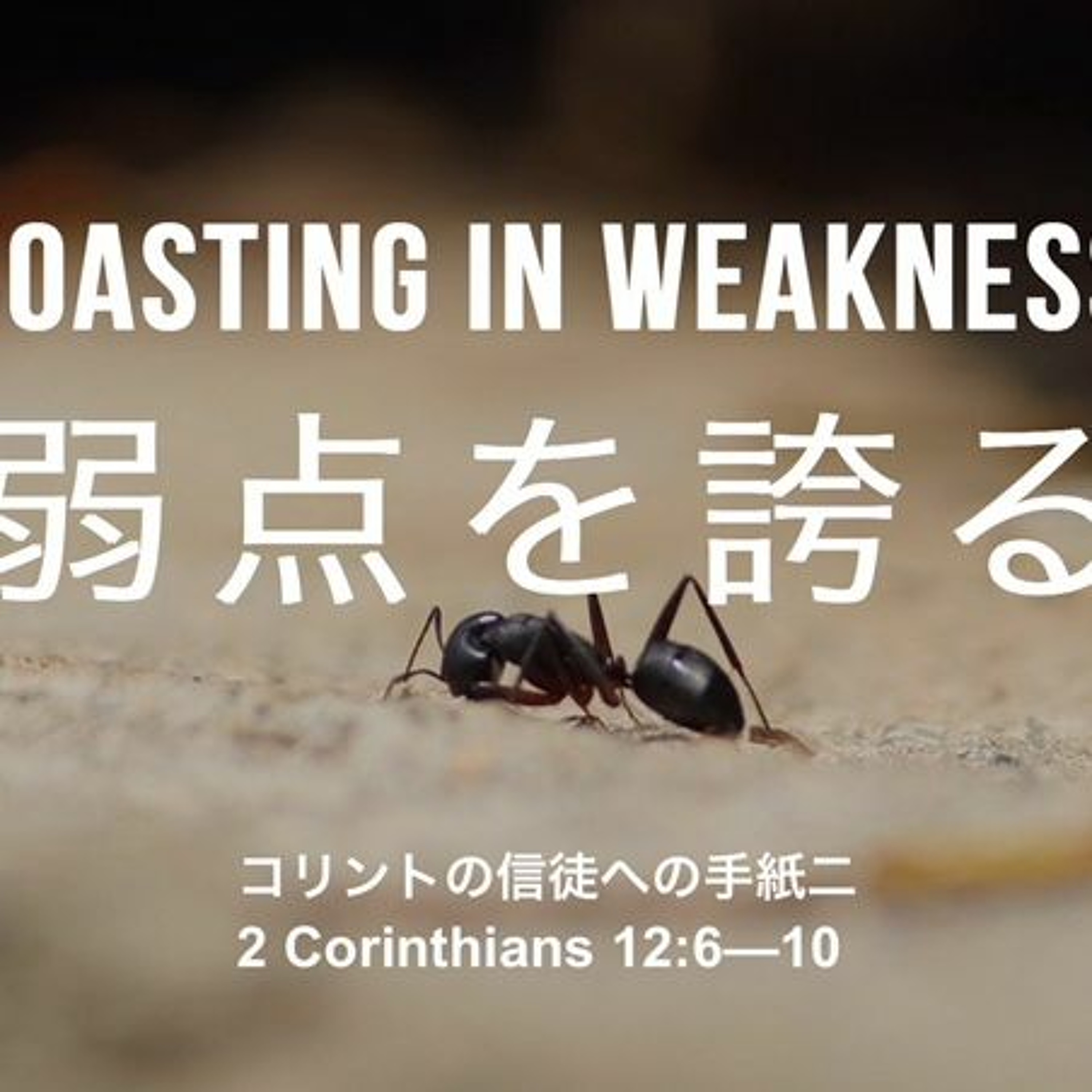 2.Corinthians / 2.コリント 12,6-10 - Boast in weakness 弱さを誇る episode artwork