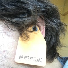 we are animals (mastered version)