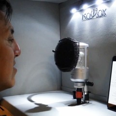 Voice Over - David Newkumet