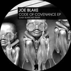Joe Blake - She's Not Anyone (Original Mix)