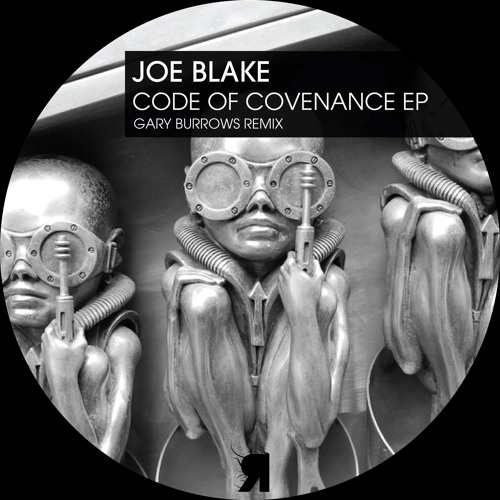 Joe Blake - She's Not Anyone (Original Mix)