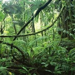 Deeply Rooted Feat. Casinoo Brown & J.D.