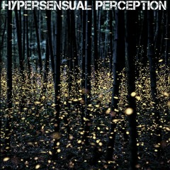 Hypersensual Perception (Feat. Malte Marten)
