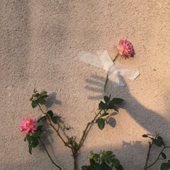 like a flower ft cloud mac (prod. by cxld blxxd)