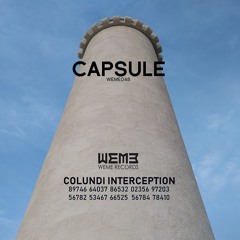 WeWe048  Capsule  A1 "Pyramids Inside Pyramids"