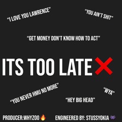 ITS TOO LATE *PROD BY WHYZOO*