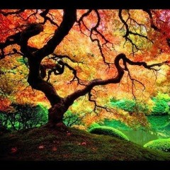 Promo Mix (August 2018)