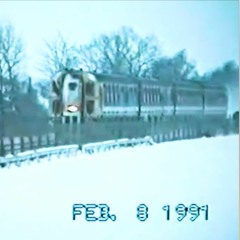 Ｘ－ＦＩＬＥＳ - AVALON BEAUTY