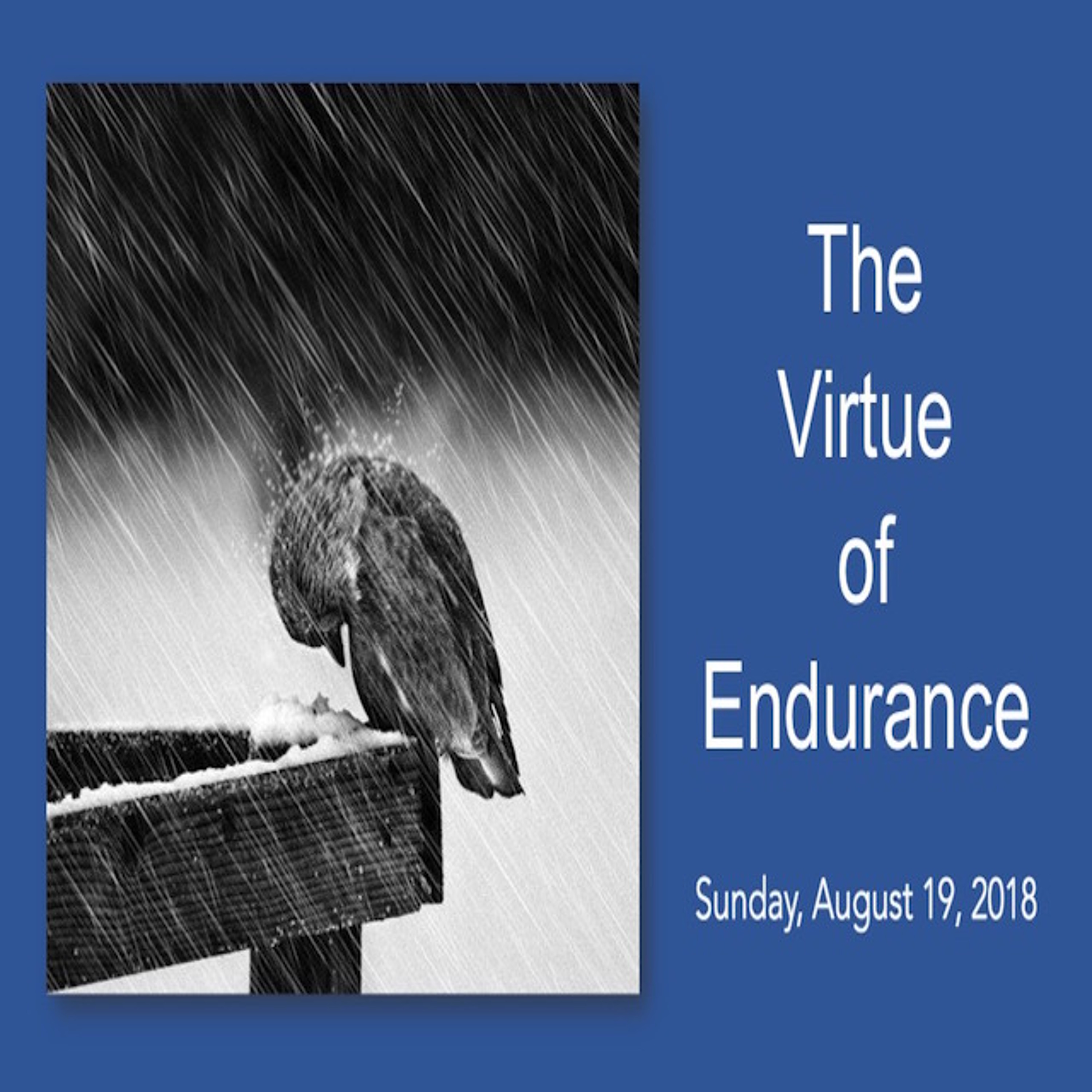 EPC - Evangel Oakville Sunday Sermon Podcast