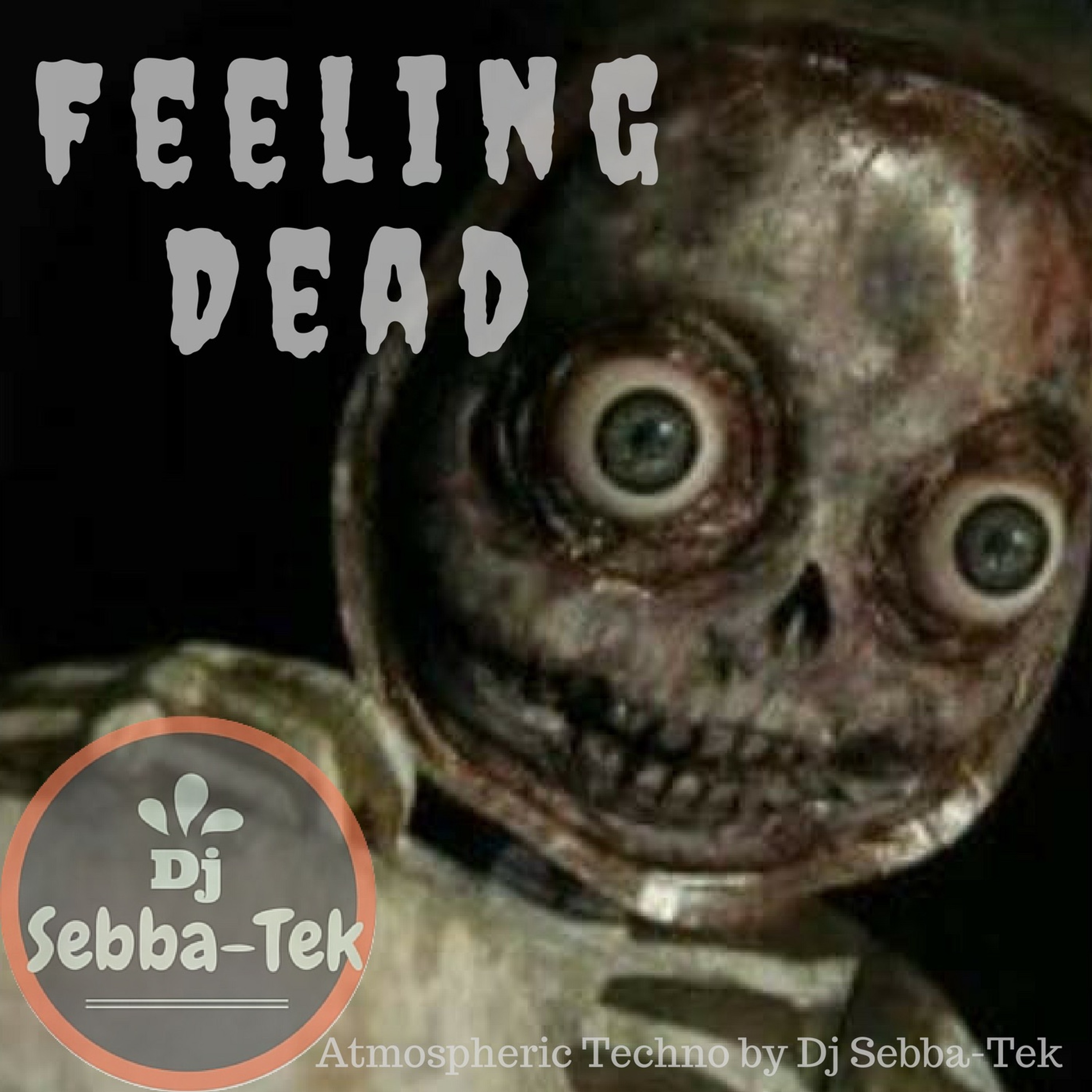 Sebba-Tek